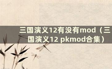 三国演义12有没有mod（三国演义12 pkmod合集）